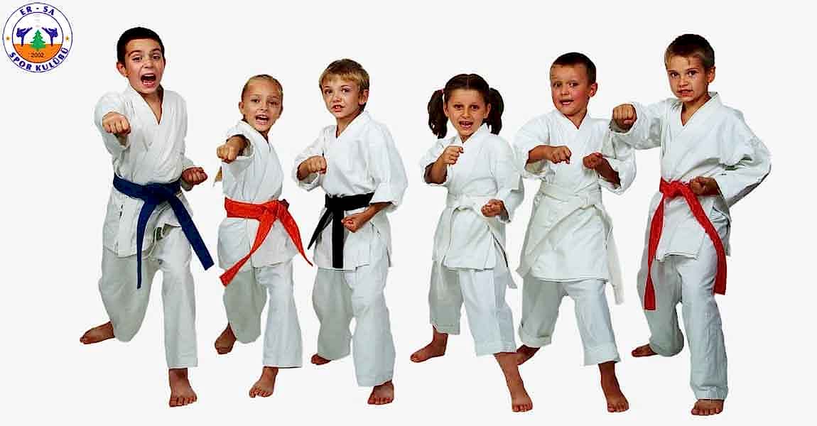 karate-8-10-yas-arasi