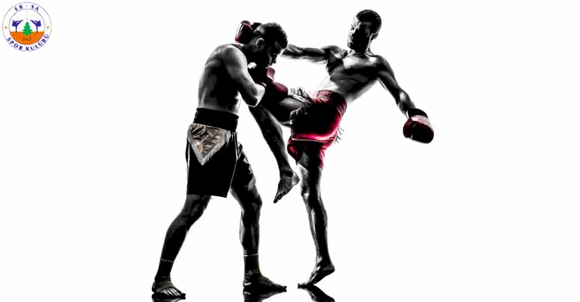 kickboks-egitimi