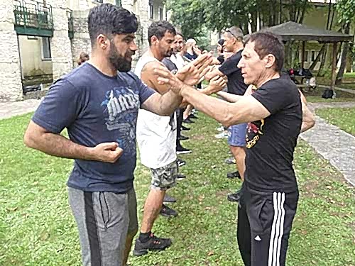 MMA Dövüş Sanatı